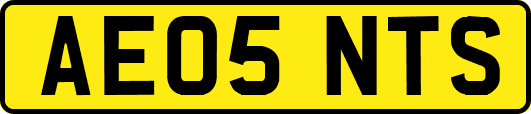 AE05NTS