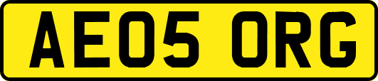 AE05ORG