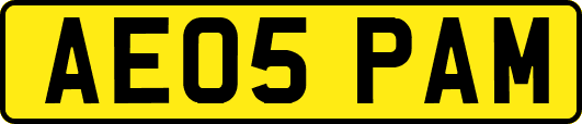AE05PAM