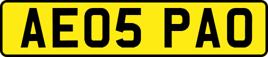 AE05PAO