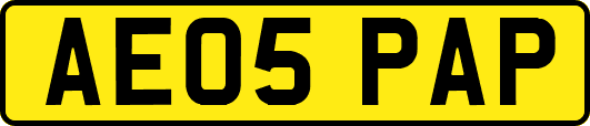 AE05PAP