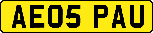 AE05PAU