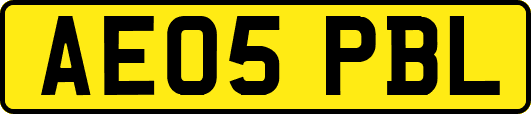 AE05PBL