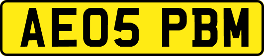 AE05PBM