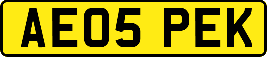 AE05PEK
