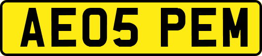 AE05PEM