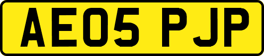 AE05PJP