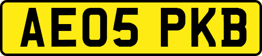 AE05PKB