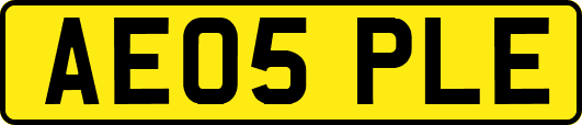 AE05PLE