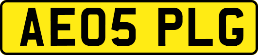 AE05PLG