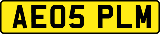 AE05PLM