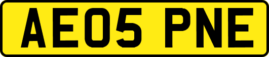 AE05PNE