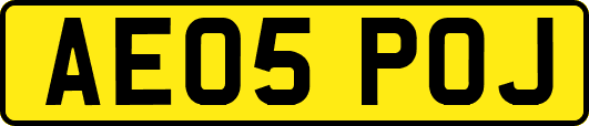 AE05POJ
