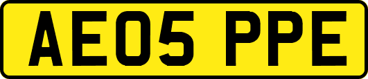 AE05PPE