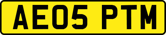 AE05PTM