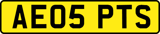 AE05PTS