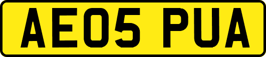 AE05PUA