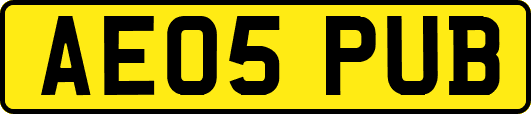 AE05PUB