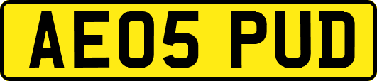 AE05PUD