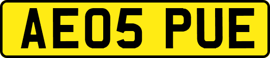 AE05PUE