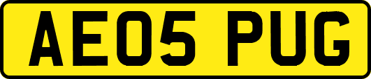 AE05PUG