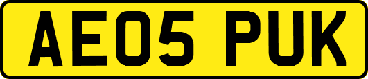 AE05PUK