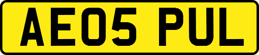 AE05PUL