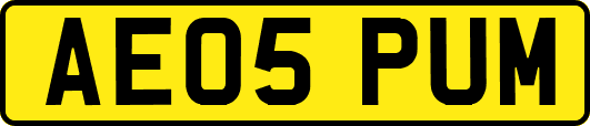 AE05PUM