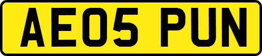 AE05PUN