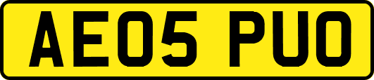 AE05PUO