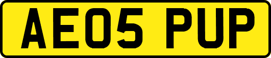 AE05PUP