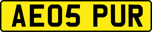 AE05PUR