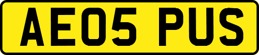 AE05PUS