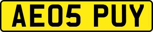 AE05PUY