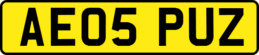 AE05PUZ
