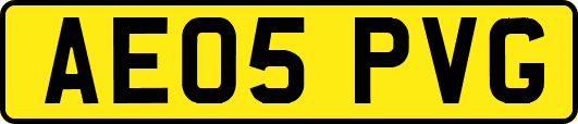 AE05PVG