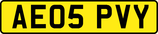 AE05PVY