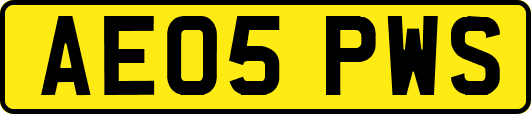 AE05PWS