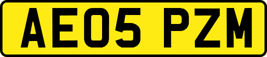 AE05PZM