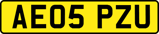 AE05PZU