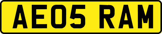 AE05RAM