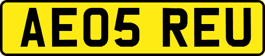 AE05REU