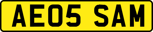 AE05SAM