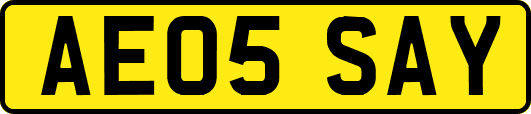 AE05SAY