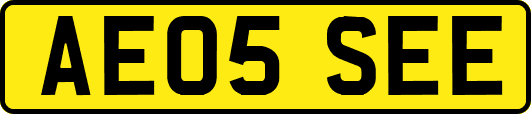 AE05SEE