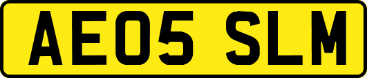 AE05SLM