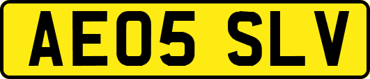 AE05SLV