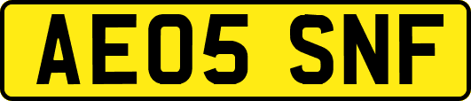 AE05SNF
