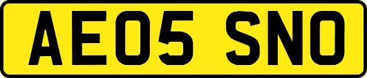 AE05SNO