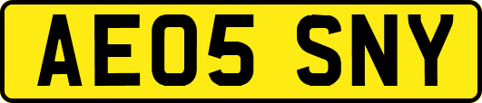 AE05SNY